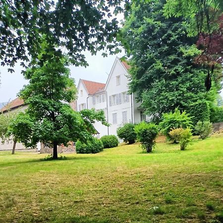 Bed and Breakfast Domaine De La Moselle Saint-Maurice-sur-Moselle Exteriér fotografie