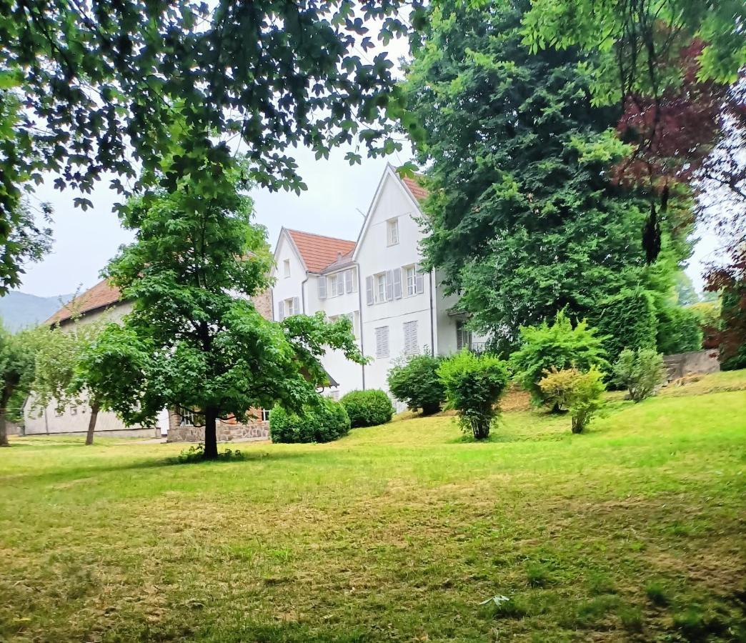 Bed and Breakfast Domaine De La Moselle Saint-Maurice-sur-Moselle Exteriér fotografie